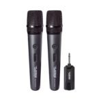 Platinum B20 Dual Wireless Microphone System