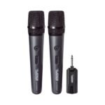Platinum B20 Dual Wireless Microphone System