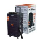 Platinum PK-10 Wireless Karaoke Speaker