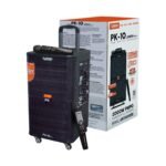 Platinum PK-10 Wireless Karaoke Speaker