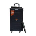 Platinum PK-10 Wireless Karaoke Speaker - Image 2
