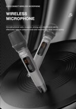 Lenyes S873 Portable Karaoke Bluetooth Speaker with Wireless Mic - Image 10